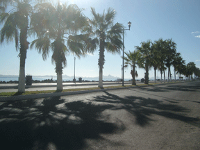 mulege singles Baja real estate group is the premier resource for purchasing a home, selling a home, financing and property listings in northern baja california physical address : km 345 carretera libre. mulege singles Baja real estate group is the premier resource for purchasing a home, selling a home, financing and property listings in northern baja california physical address : km 345 carretera libre.
